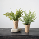 Faux Fern in Paper Wrapped Pot 15in