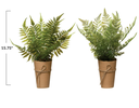 Faux Fern in Paper Wrapped Pot 15in