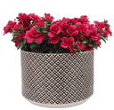 Brown Tribal Planter 10in