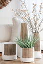 Ibiza Ceramic Vase  11in