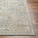 Bitlis Rug 5x7