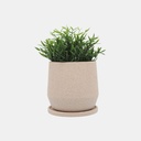 Ceramic Planter with Saucer Tan 10in