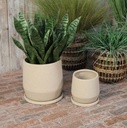 Ceramic Planter with Saucer Tan 10in