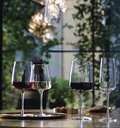 Planeo Red Wine Glass Set of 4