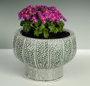 Terracotta Footed Planter 10in