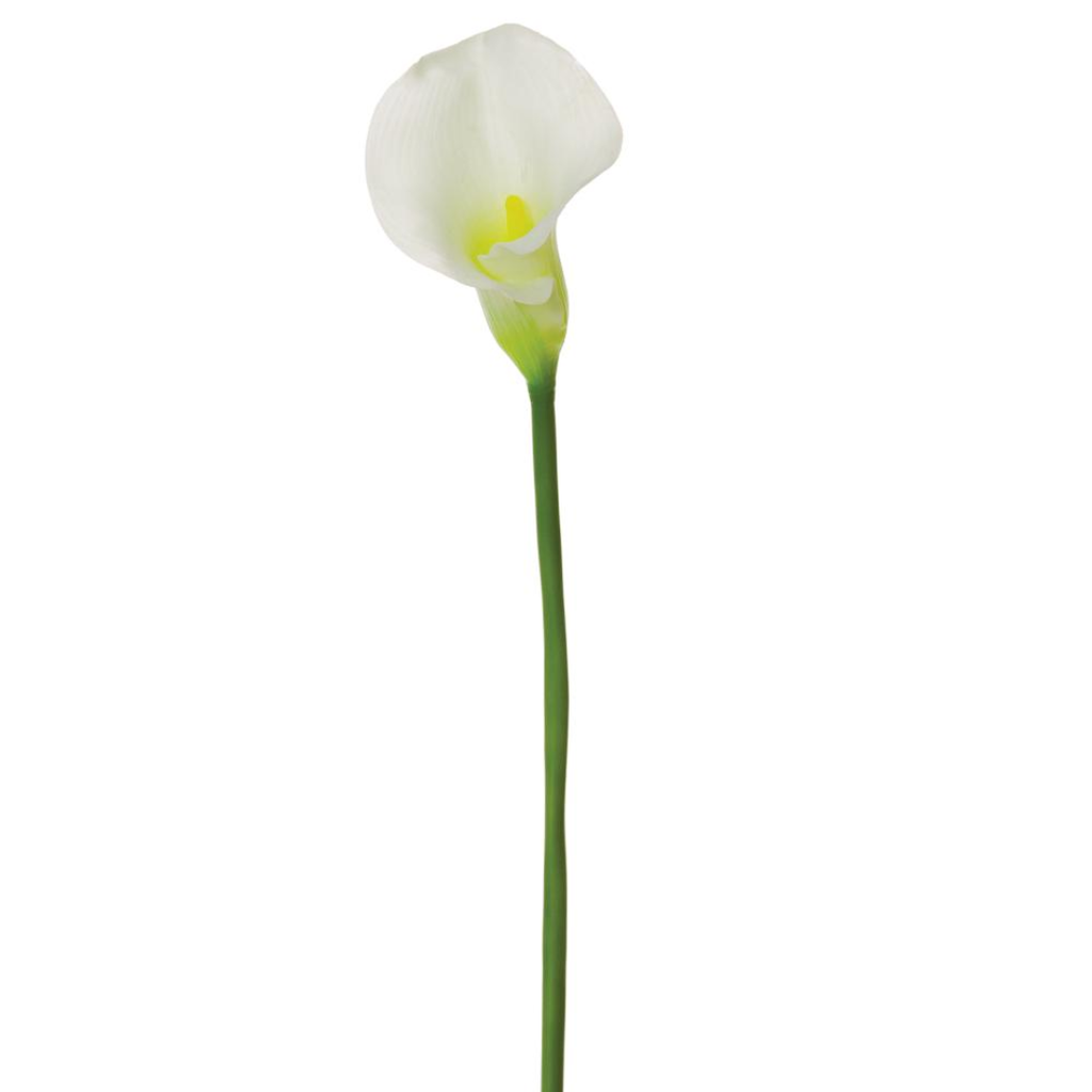 Cala Lily White 69in