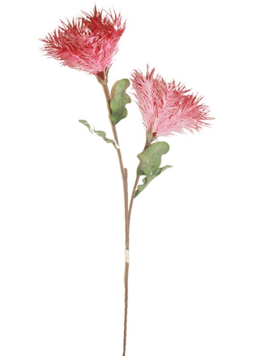 Chrysanthemum Pink Stem 51in