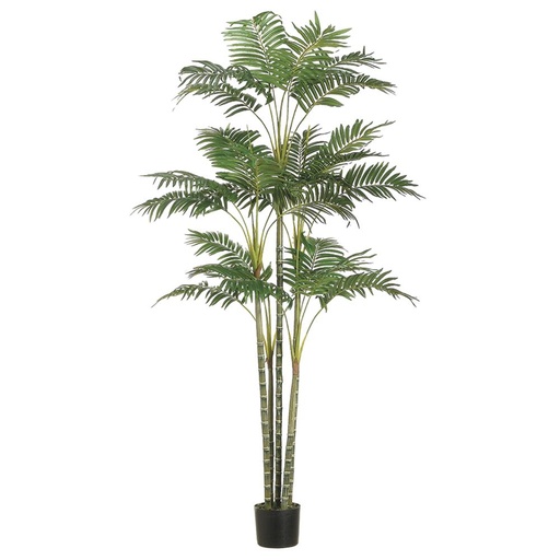 [174330-BB] Areca Palm Tree 6ft
