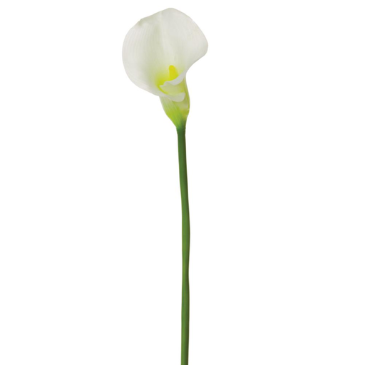 [174964-BB] Cala Lily White 69in