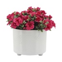 White Swirl Footed Planter 10in