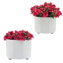 White Swirl Footed Planter 12in