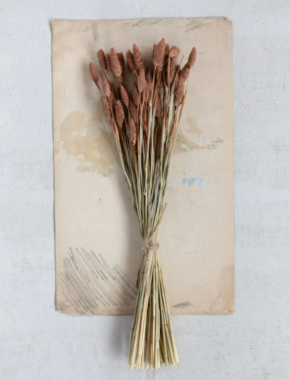 Dried Canary Grass Bunch