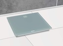Grey Body Scale with LCD