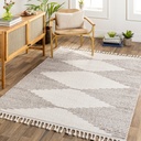 Alhambra Light Grey Rug 5x7