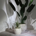 Antique Resin Planter Beige 13in