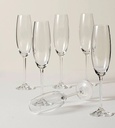 Lenox Tuscany Classic Champagne Party Flute Set of 6