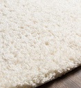 Angora Cream Shag Runner 2x7
