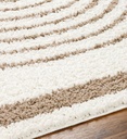 Birmingham Ivory Rug 5x7"