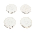 Sand Dollar Coaster Set