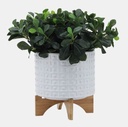 Dotted Planter w/ Stand 10in