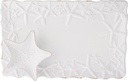 Starfish Chip N Dip