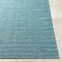 Terrace Green Indoor Outdoor Rug 5x7