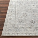 Davina Grey Beige Rug 5x7