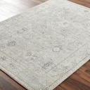 Davina Grey Beige Rug 5x7