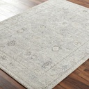 Davina Grey Beige Rug 6x9