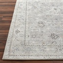 Davina Grey Beige Rug 6x9