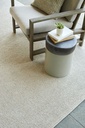 Birdie Ivory Indoor Outdoor Rug 6x9