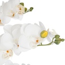 White Orchid in Marble Pot 65cm