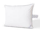 Goose Down 10/90 Pillow Queen Firm