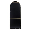 Celine Gold Arch Wall Mirror 28in x 74in