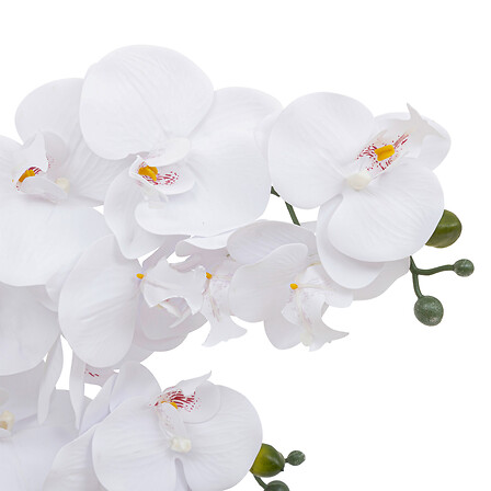 White Orchid in Ceramic Pot 23in