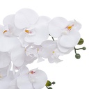 White Orchid in Ceramic Pot 23in