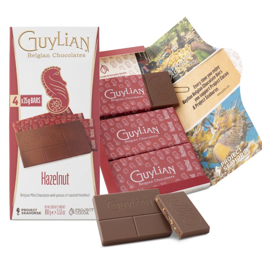 Guylian Belgian Chocolate Hazelnut Bars 4 x 25g
