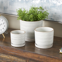 Ceramic Dot & Line Planter White 4in