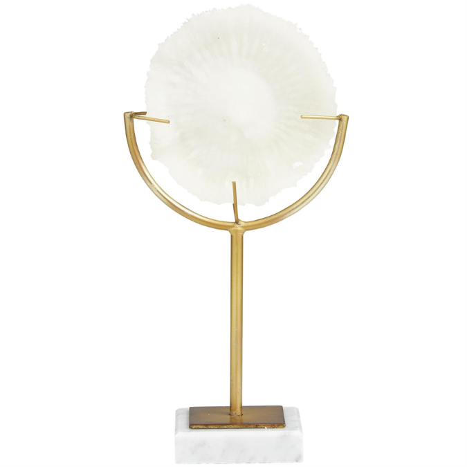 Coral Sculpture with Marble Base 11in
