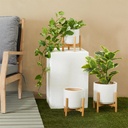 Ceramic Planter With Wood Base 9in