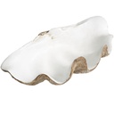 Clam Shell Decorative Bowl 20in
