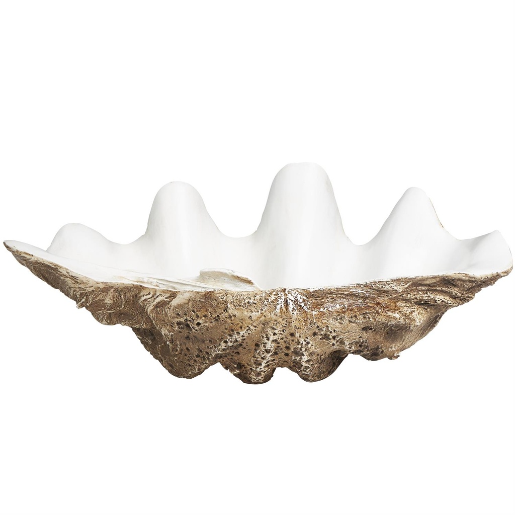 Clam Shell Decorative Bowl 20in