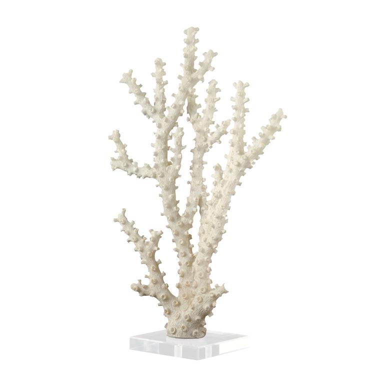 Coral Sculpture With Clear Acrylic Base 14in