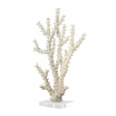 Coral Sculpture With Clear Acrylic Base 14in