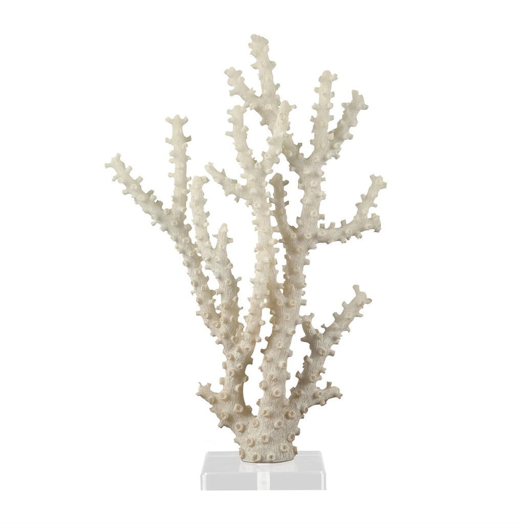 Coral Sculpture With Clear Acrylic Base 14in