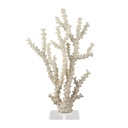 Coral Sculpture With Clear Acrylic Base 14in