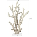 Coral Sculpture With Clear Acrylic Base 14in