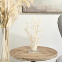 Coral Sculpture With Clear Acrylic Base 14in