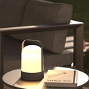 Jerta Outdoor Lamp Grey 9in