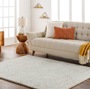 Cloudy Shag Rug 8x10ft